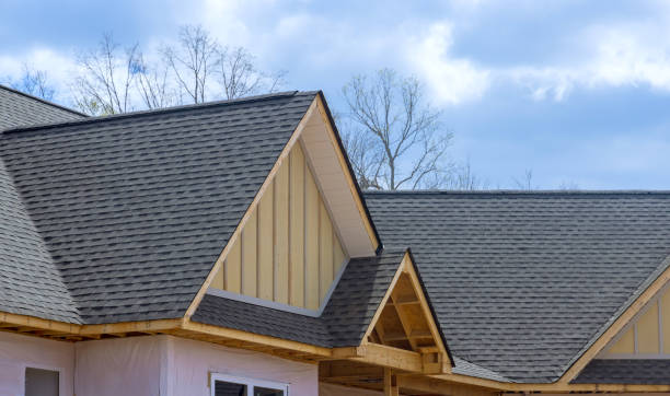 Best Sheet Metal Roofing  in Woodland Park, NE