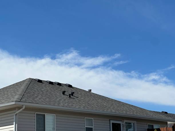 Best Asphalt Shingle Roofing  in Woodland Park, NE